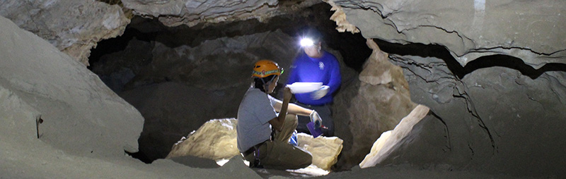 Planning a trip to Coronado National Memorial caves
