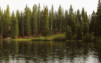 Rainy lake image