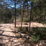 Purtis Creek State Park, Texas 2215461