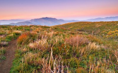 Southern California’s Pacific Crest Trail