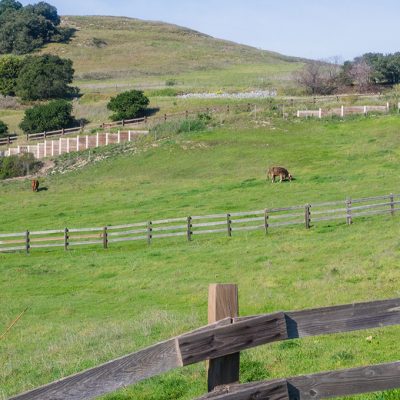 Wilder Ranch State Park Outdoors Geek