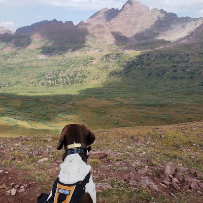 Dog and Mountains