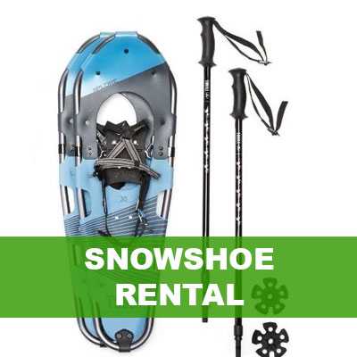 snowshoes and poles