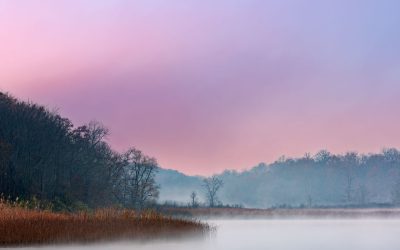 Fort Custer State Park, Michigan